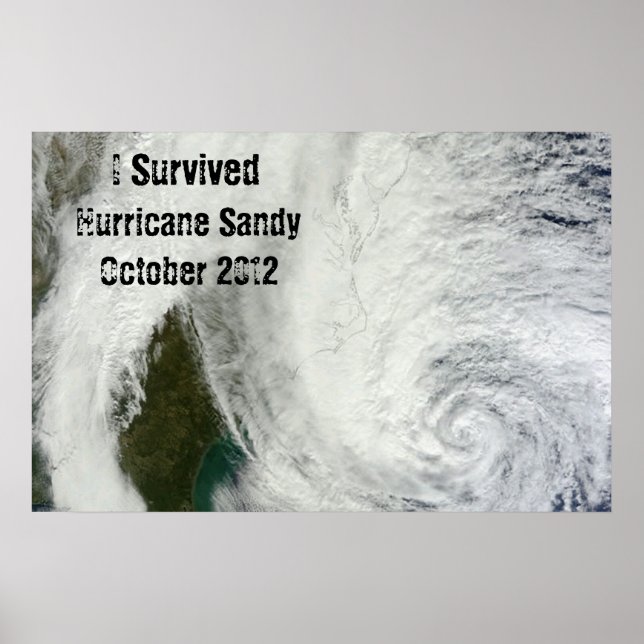 Ich überlebte Hurrikan Sandy Poster (Vorne)