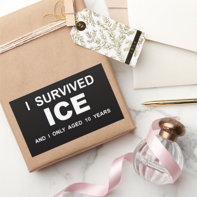 Ich überlebte ICE  Rechteckiger Aufkleber (Schenken)