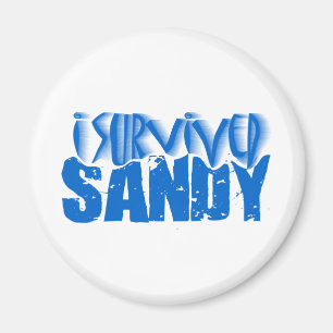 ich überlebte SANDY Magnet