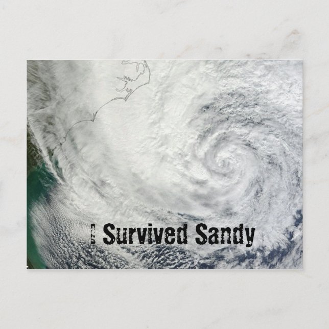 Ich überlebte Sandy Postcard Postkarte (Vorderseite)