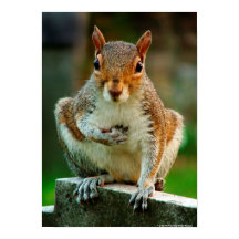 "Ich überquere mein Herz."