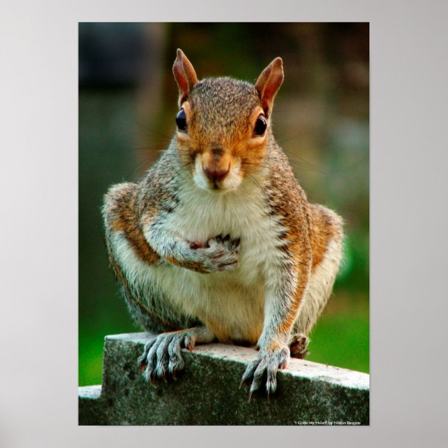 "Ich überquere mein Herz." Poster (Vorne)