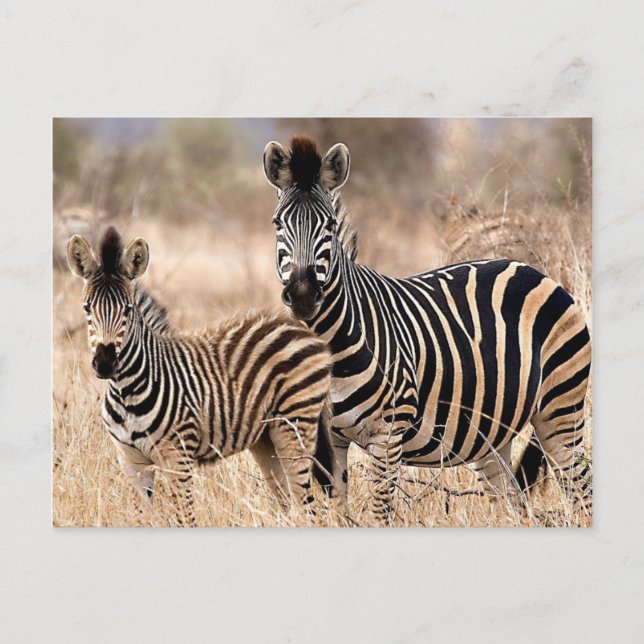 Ich und Mama Postkarte (Vorderseite)