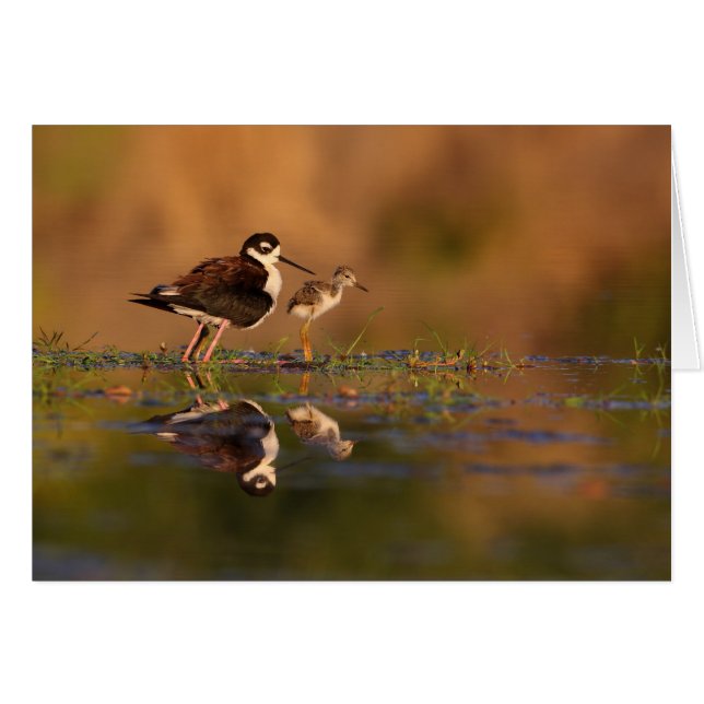 Ich und mein Küken (Vorderseite (Horizontal))