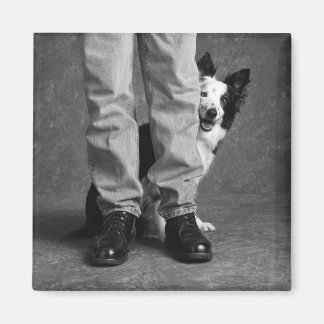 Ich und mein Schatten - Collie Dog Magnet