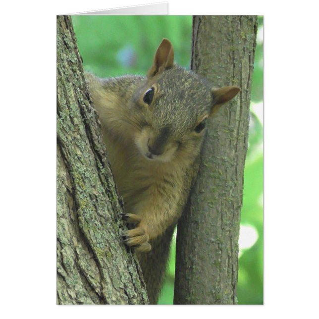 Ich vermisse deine Eichhörnchen-Fotokarte (Vorne)