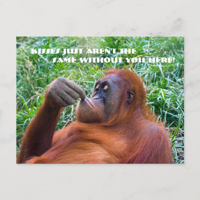 Ich vermisse dich Funny Orangutan Postcard Postkarte (Vorderseite)