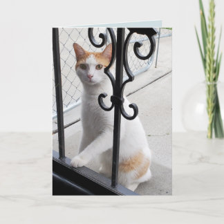 Ich vermisse dich Katze Karte