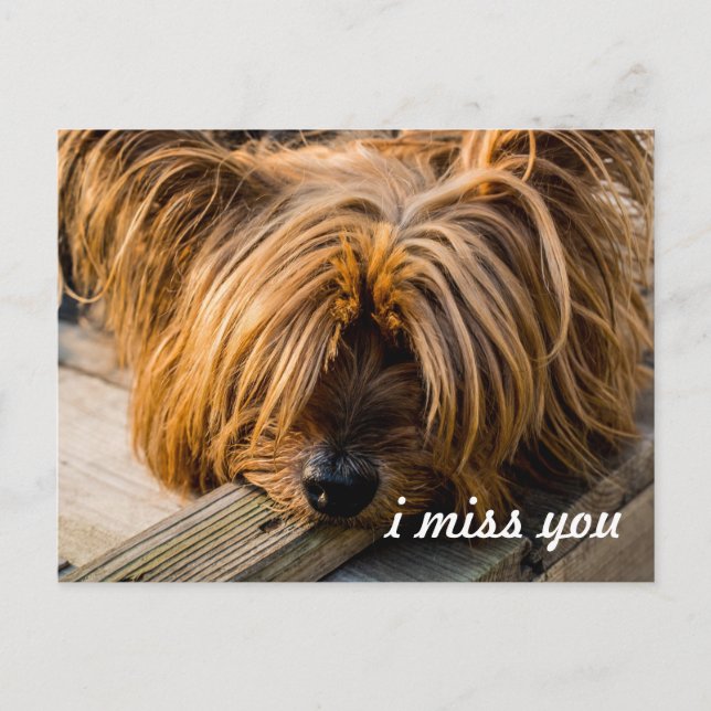 Ich vermisse dich postkarte (Vorderseite)