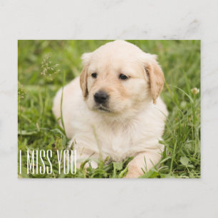 Ich vermisse dich postkarte