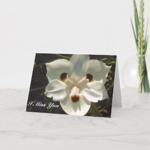 Ich vermisse Sie/irgendwelche Gelegenheiten_ Karte