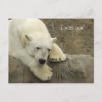 Ich vermisse Sie - Polar Bear Postcard