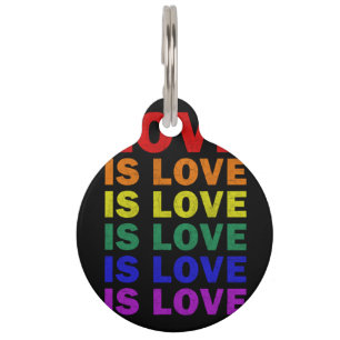 Ich verspreche, die Liebe LGBT-Q Stolz zu lehren, Haustiermarke