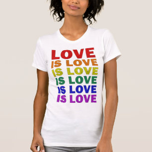 Ich verspreche, die Liebe LGBT-Q Stolz zu lehren, T-Shirt