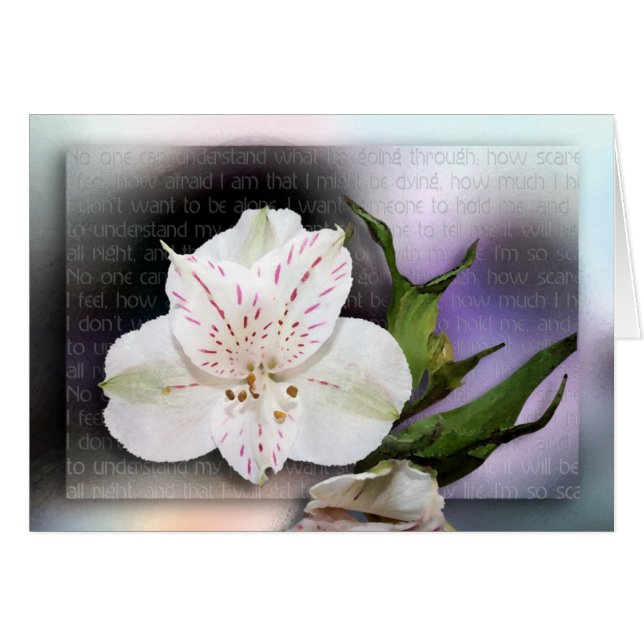 Ich verstehe (Vorderseite (Horizontal))