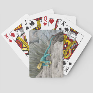 Ich wage dich spielkarten