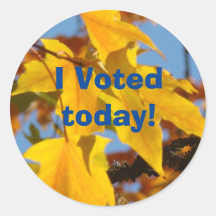 Ich wählte heute! Aufkleber, die kundenspezifisch Runder Aufkleber