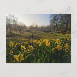 Ich wanderte einsam als Wolke von William Wordswor Postkarte