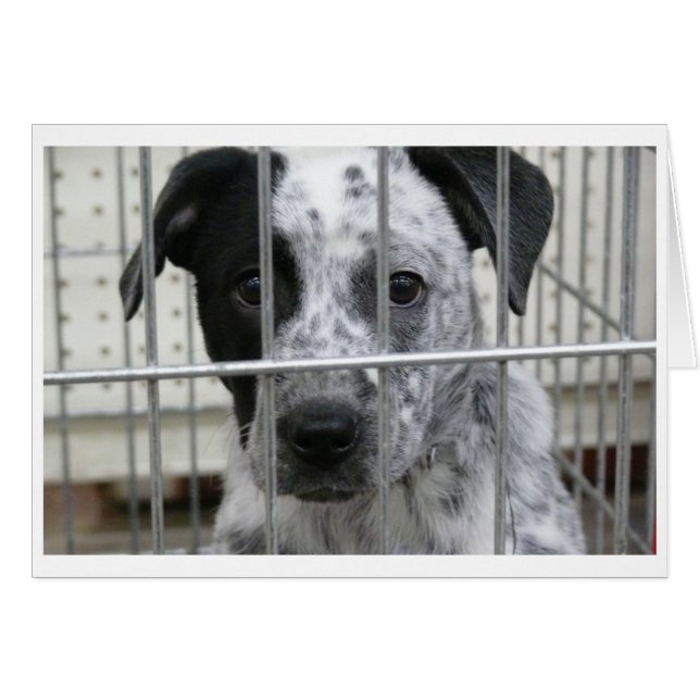 ICH WAR GERAHMT! (Vorderseite (Horizontal))