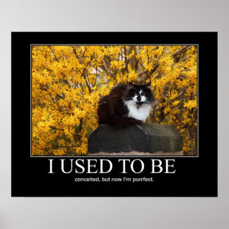 Ich war mal. Cat Artwork Funny Poster