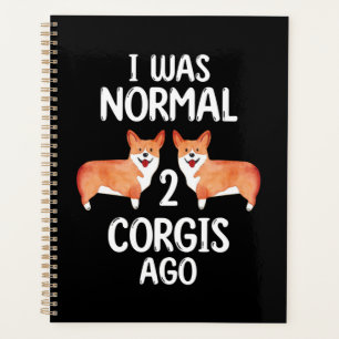 Ich war normal 2 Corgis vor einem Geschenk für Cor Planer
