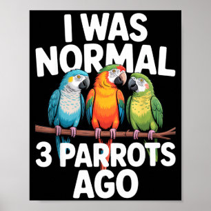 Ich war normal vor 3 Papageien Lustiger Vogel Lieb Poster
