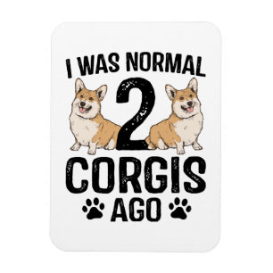 Ich war vor 2 Corgis normal Hund Magnet