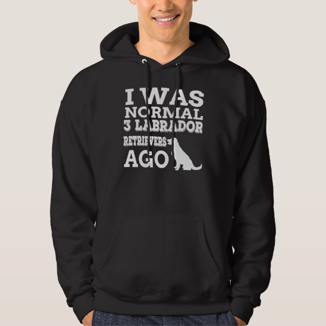 Ich war vor 3 Jahren normal Hoodie (Vorderseite)
