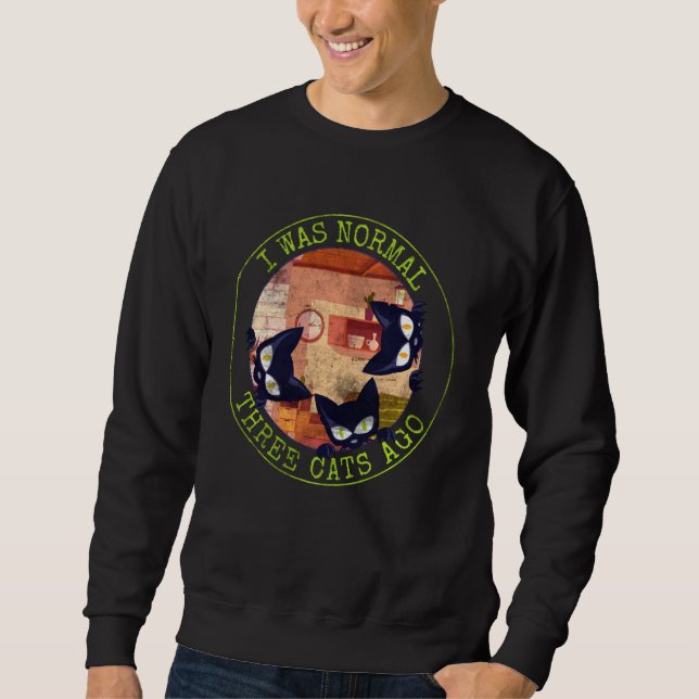 Ich war vor 3 Katzen normal, Funny Cat Statement Sweatshirt (Vorderseite)