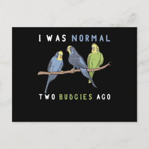 Ich war vor zwei Budgie Bird normal Postkarte