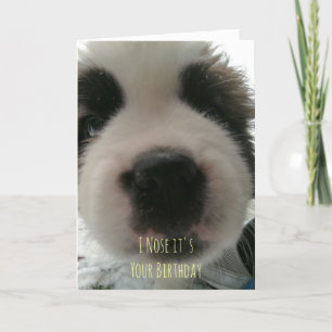 Ich weiß, dass du Geburtstag hast Karte