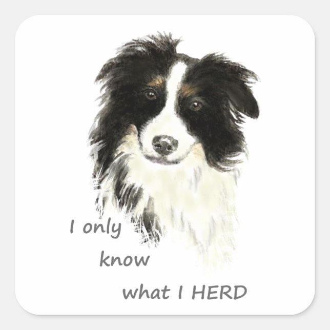 Ich weiß nur, was ich Border Collie Dog Zitat herb Quadratischer Aufkleber (Vorderseite)