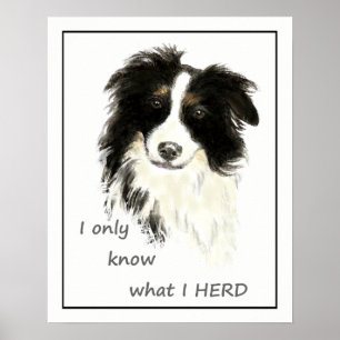 "Ich weiß nur, was ich HERDE" Zitat "Border Collie Poster