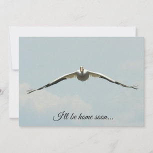 Ich werde bald Zuhause sein, Pelican Flying  Karte