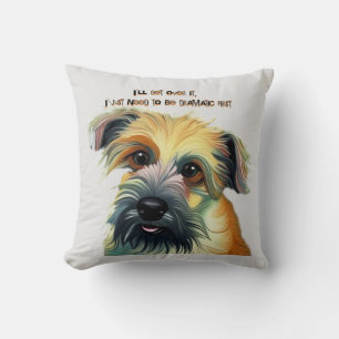 Ich werde darüber hinwegkommen, ich muss erst dram kissen