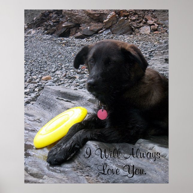 Ich werde dich immer Liebe geben Poster (Vorne)