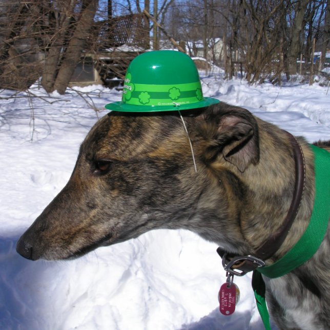 "Ich werde dich rennen!" Karte (Von Creator hochgeladen)