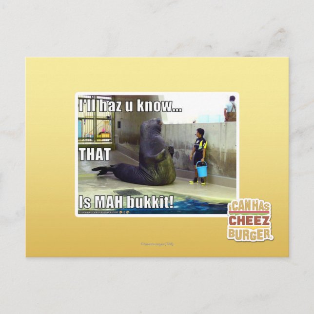 Ich werde es wissen postkarte (Vorderseite)