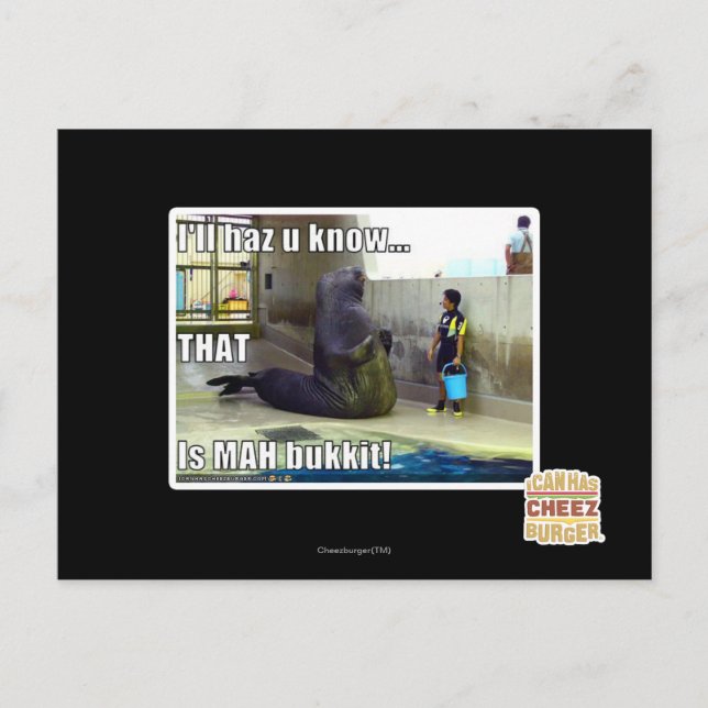 Ich werde es wissen postkarte (Vorderseite)