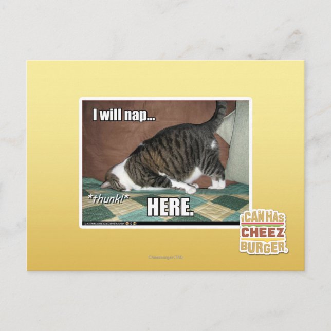 Ich werde hier Nickerchen machen Postkarte (Vorderseite)