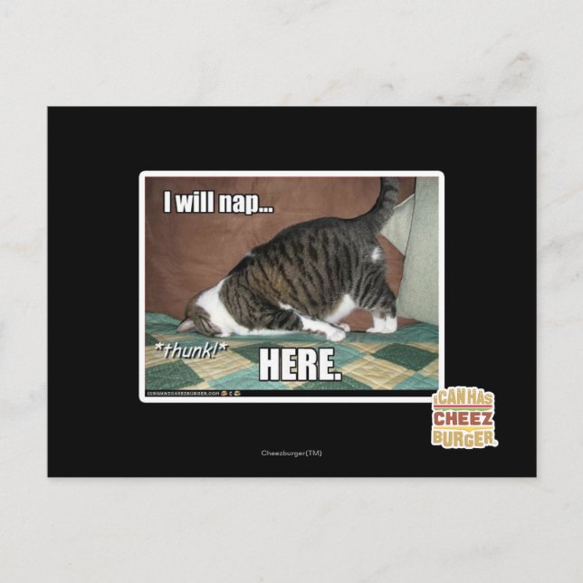 Ich werde hier Nickerchen machen Postkarte (Vorderseite)