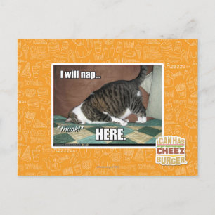 Ich werde hier Nickerchen machen Postkarte