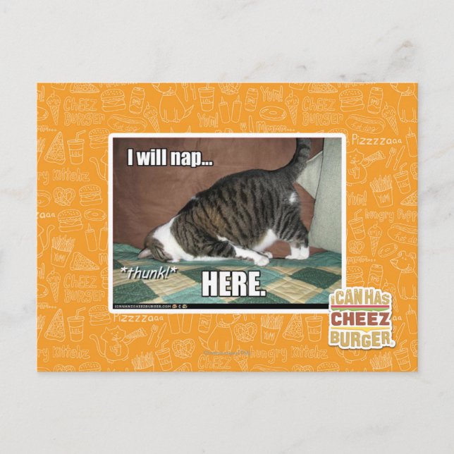 Ich werde hier Nickerchen machen Postkarte (Vorderseite)