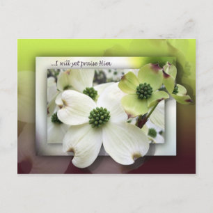 Ich werde ihn trotzdem loben postkarte