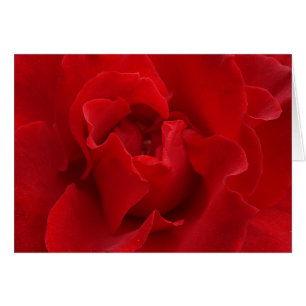 Ich werde Liebe Sie immer