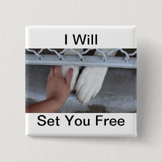 Ich werde Set, das Sie frei knöpfen Button