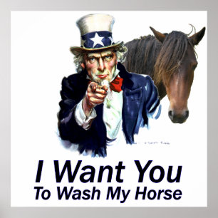 Ich will dich: Wasch-Mein-Pferd-Plakat Poster