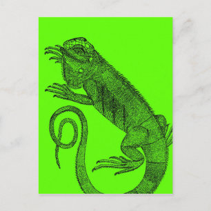 Ich will einen Leguan Postkarte