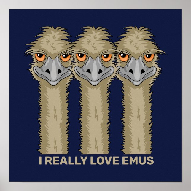 Ich wirklich Liebe Emus Poster (Vorne)