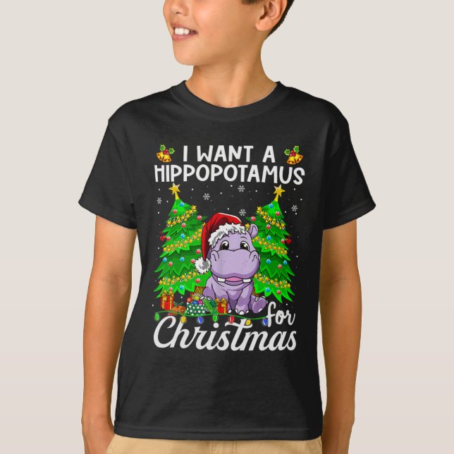 Ich Wollte einen Hippopotamus für Weihnachtsbeleuc T-Shirt (Vorderseite)